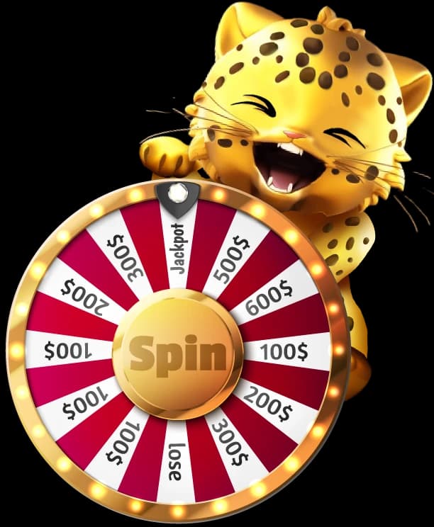 Cutie Spin Cat Featured